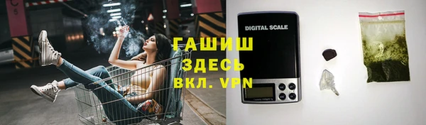 ешки Алексин