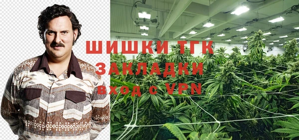 ешки Алексин