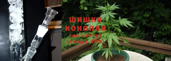 ALPHA PVP Алзамай